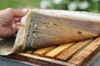 Положки(холстики)