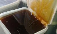 Алтайский мед и продукты пчеловодства от производителя