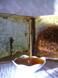 продам цветочный мед по 175руб