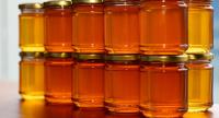 Продажа мёда и другой продукции пчеловодства (Белгород)
