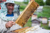 Продам Алтайский мёд от пчеловода с 30-ти летним опытом