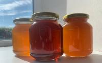 Продам свежий Алтайский мед