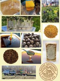 Алтайский мёд разных сортов. пыльца, перга, сотовый мёд, мини-рамки