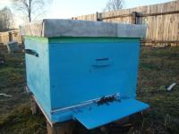 Продам пчел в Тверской области